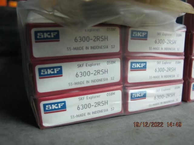 SKF Photo 109